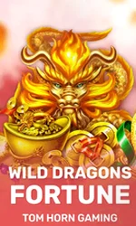 Wild Dragon`s Fortune
