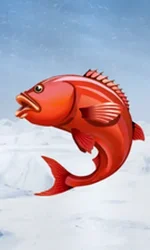 Ice Fishing